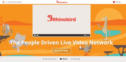 Rhinobird_tv___video_in_real_time